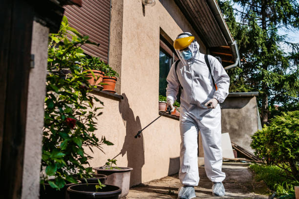 Pest Control for Restaurants in Wellington, CO