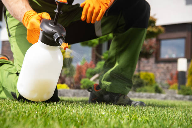Best Commercial Pest Control Services  in Wellington, CO