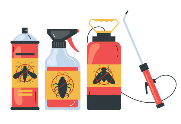 Best Ant Control Services  in Wellington, CO