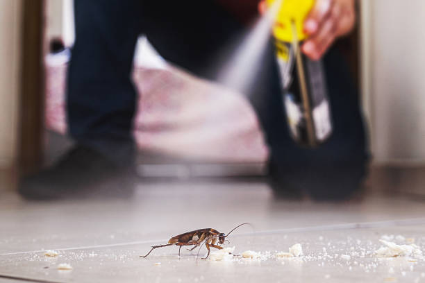 Best Pest Control for Restaurants  in Wellington, CO