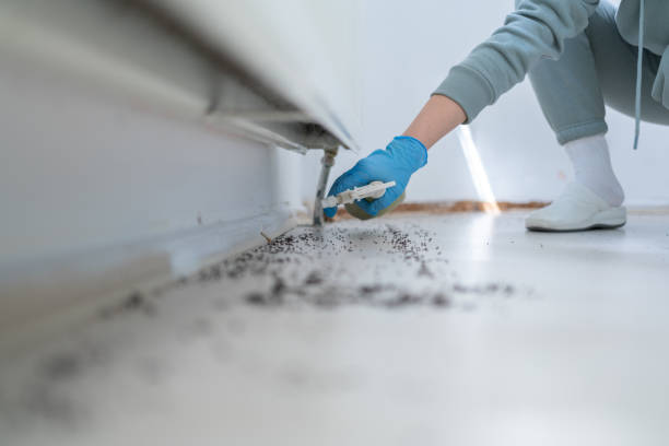 Wildlife Control Services in Wellington, CO